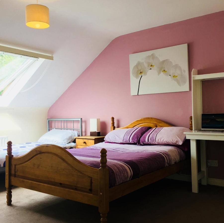 לטרקני Avondale Accommodation מראה חיצוני תמונה