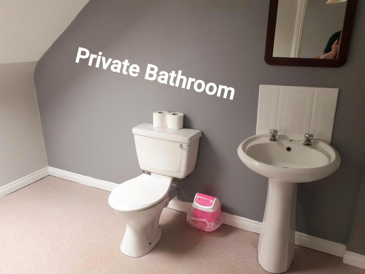 לטרקני Avondale Accommodation מראה חיצוני תמונה